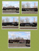 CSX Gons